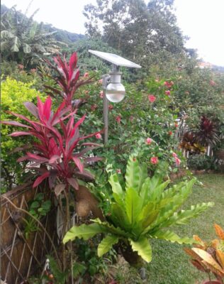 Hong Kong application